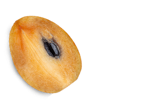 element two